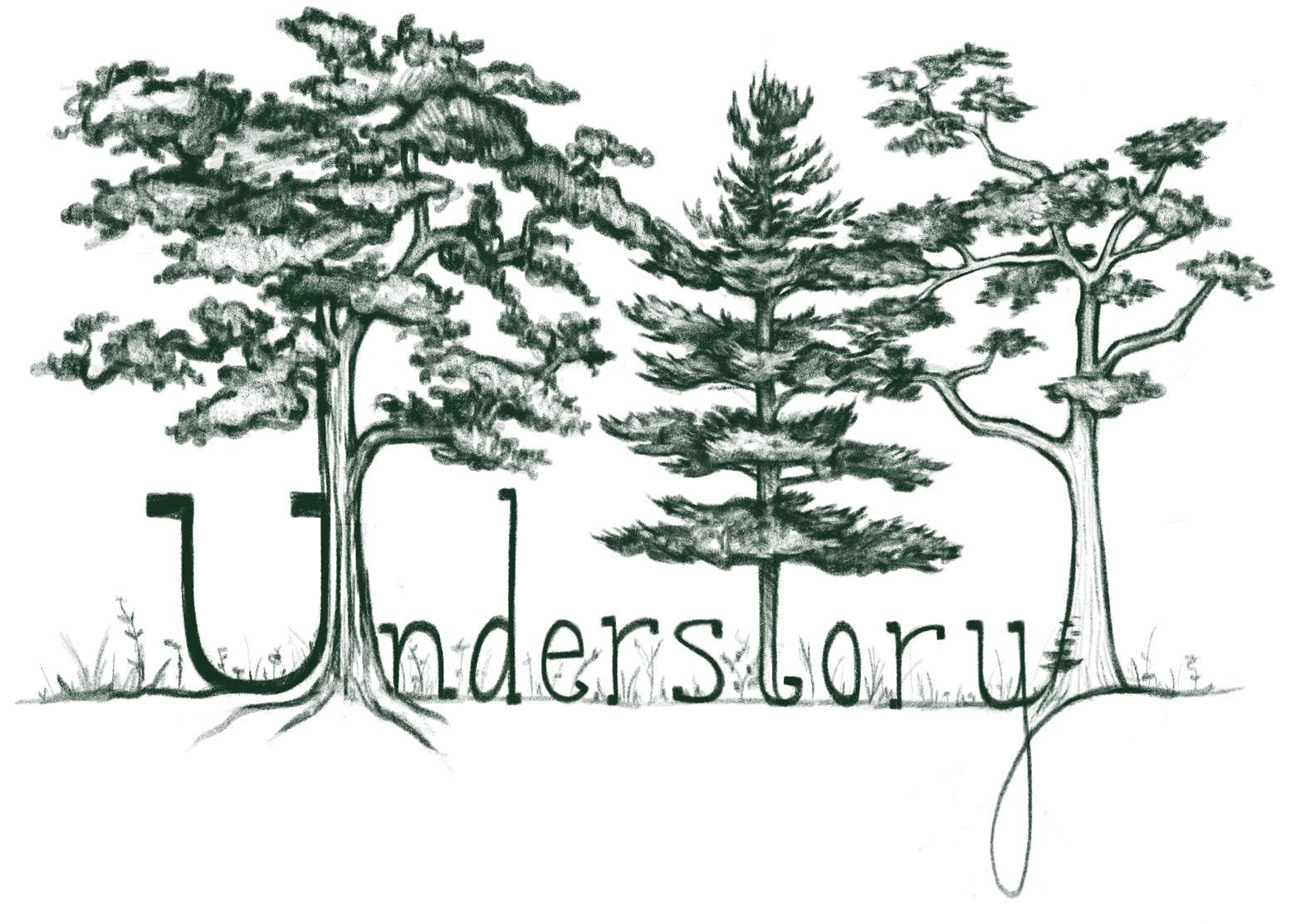 Understory Logo