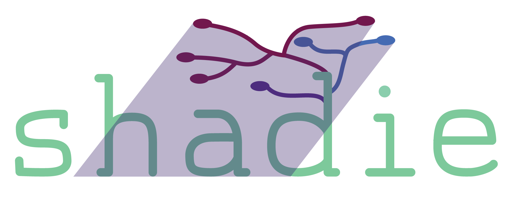 shadie Logo
